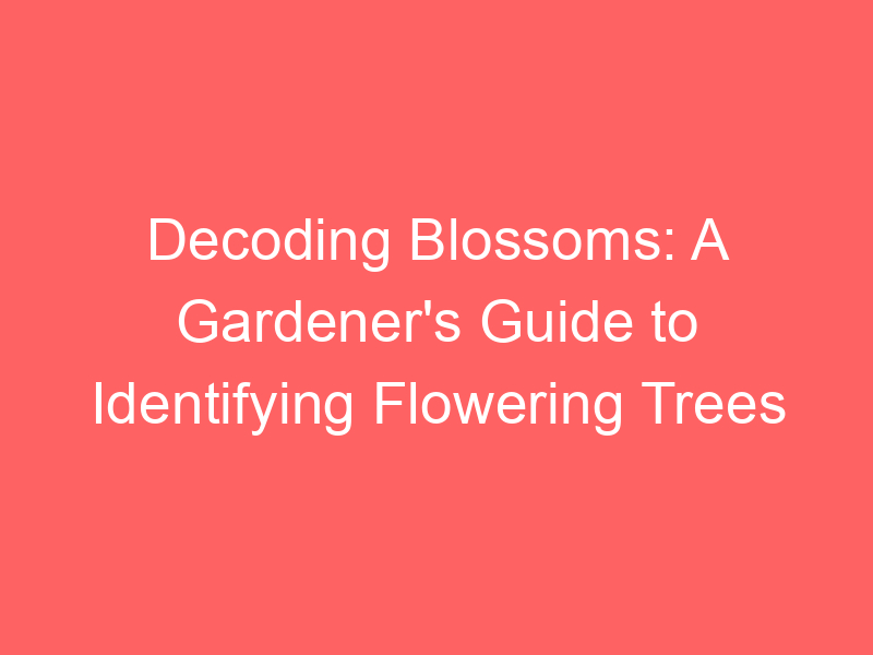 Decoding Blossoms: A Gardener's Guide to Identifying Flowering Trees
