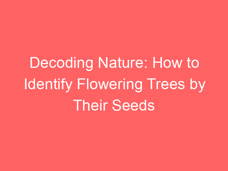Decoding Nature: How to Identify Flowering Trees by Their Seeds