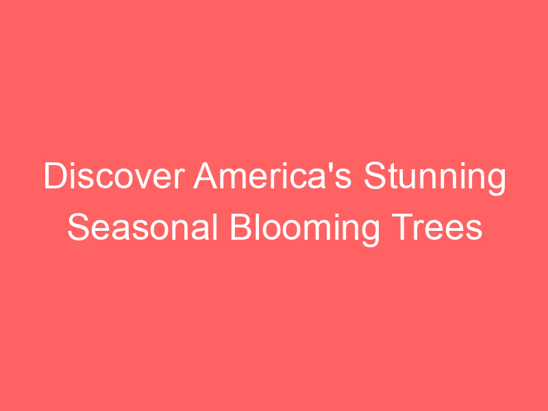 Discover America's Stunning Seasonal Blooming Trees